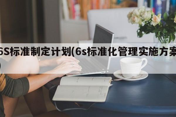 6S标准制定计划(6s标准化管理实施方案)