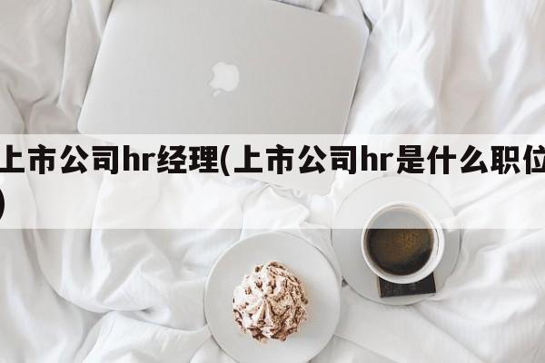 上市公司hr经理(上市公司hr是什么职位)